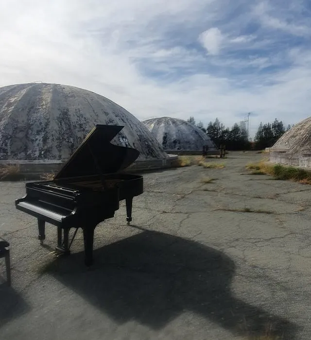 The Piano Guardian
